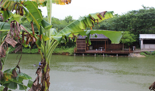 誰(shuí)說(shuō)生活只有茍且？頤和莊農(nóng)場(chǎng)許你一個(gè)詩(shī)和遠(yuǎn)方！